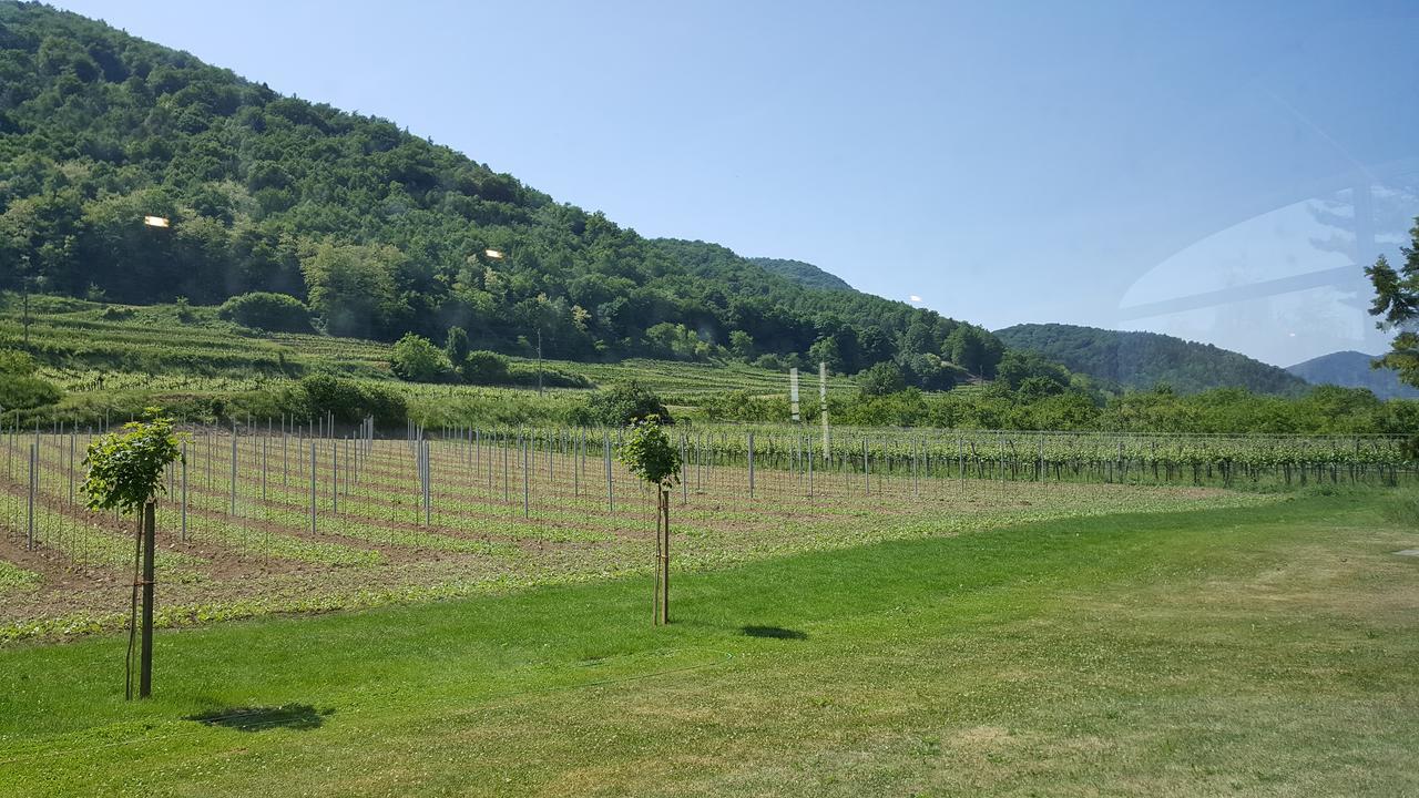Gasthof Zur Wachau Hofarnsdorf 外观 照片